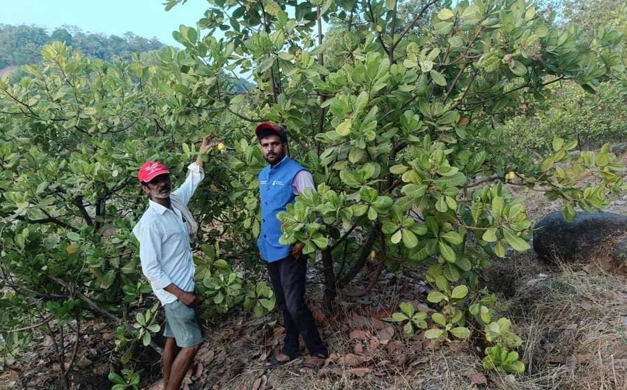 Agripreneurship & Farm-Based Livelihoods
